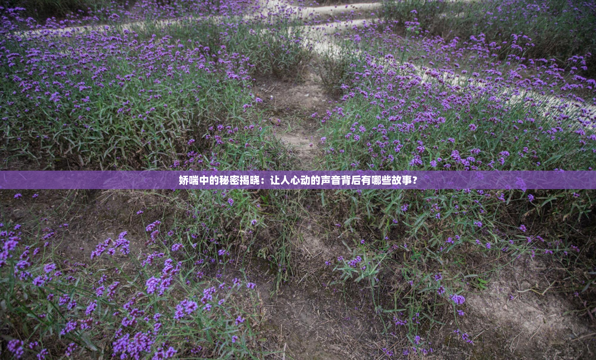 娇喘中的秘密揭晓：让人心动的声音背后有哪些故事？