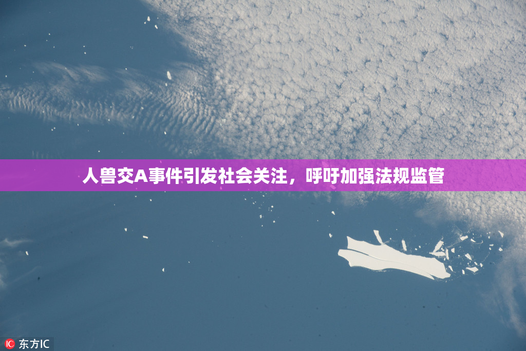 人兽交A事件引发社会关注，呼吁加强法规监管