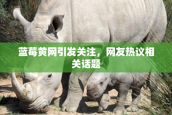 蓝莓黄网引发关注，网友热议相关话题