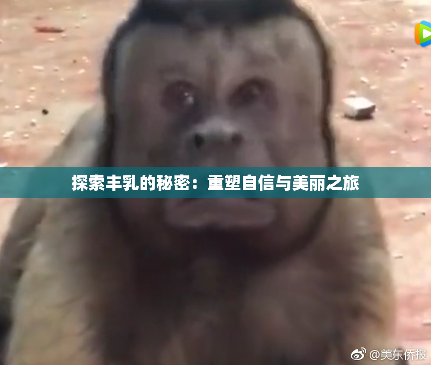 探索丰乳的秘密：重塑自信与美丽之旅