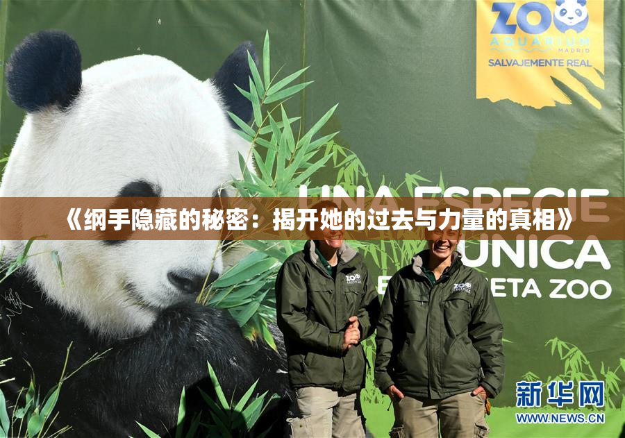 《纲手隐藏的秘密：揭开她的过去与力量的真相》