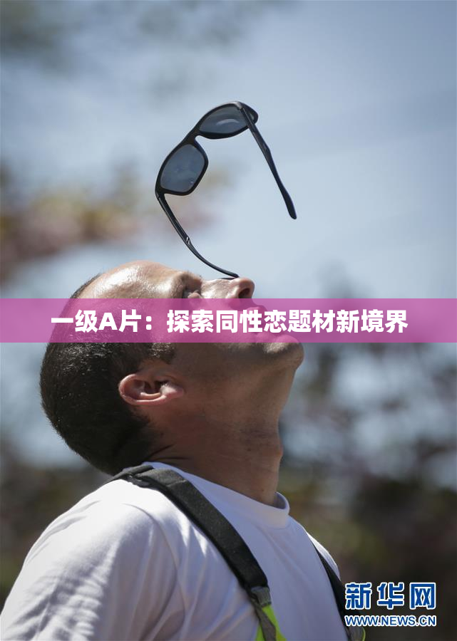 一级A片：探索同性恋题材新境界