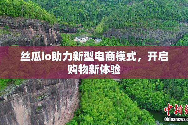 丝瓜io助力新型电商模式，开启购物新体验
