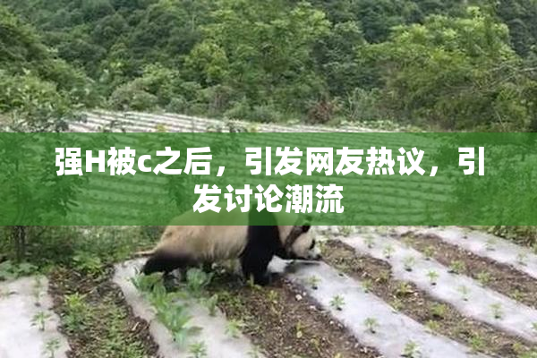 强H被c之后，引发网友热议，引发讨论潮流