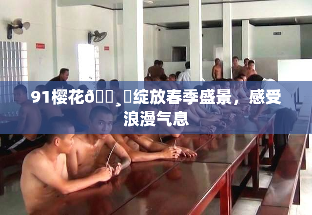 91樱花🌸‌绽放春季盛景，感受浪漫气息