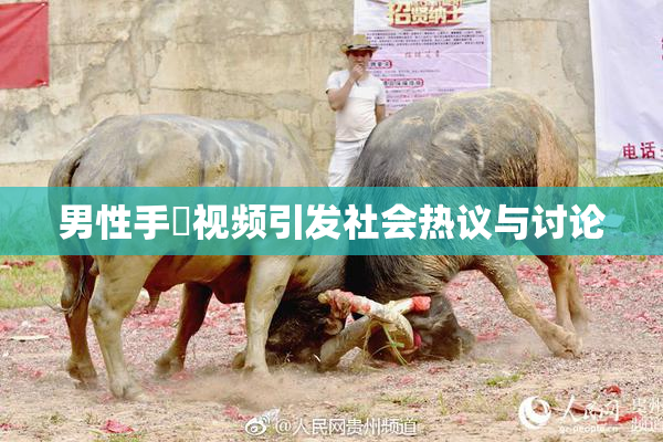 男性手婬视频引发社会热议与讨论