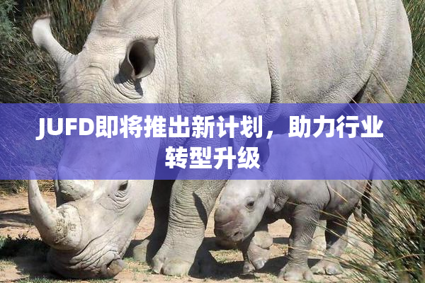 JUFD即将推出新计划，助力行业转型升级
