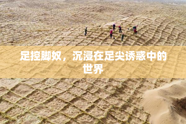 足控脚奴，沉浸在足尖诱惑中的世界