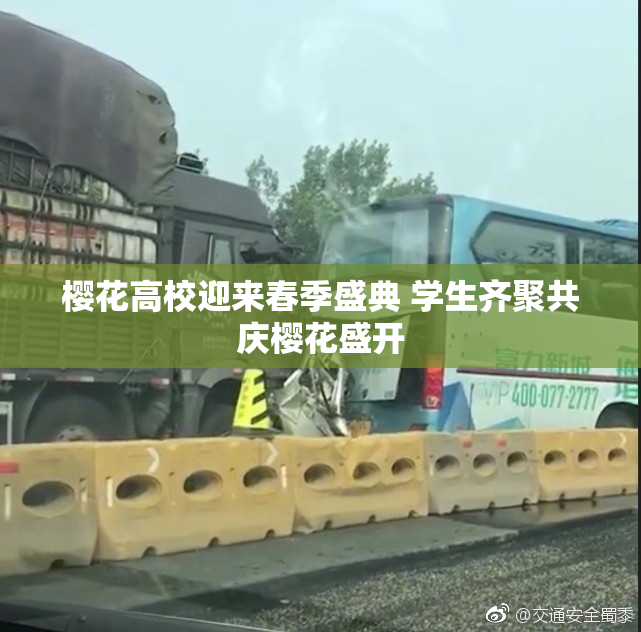 樱花高校迎来春季盛典 学生齐聚共庆樱花盛开