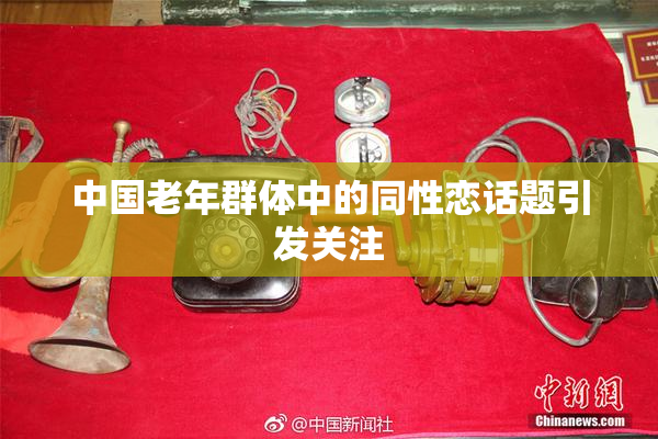 中国老年群体中的同性恋话题引发关注