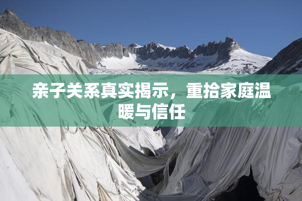 亲子关系真实揭示，重拾家庭温暖与信任
