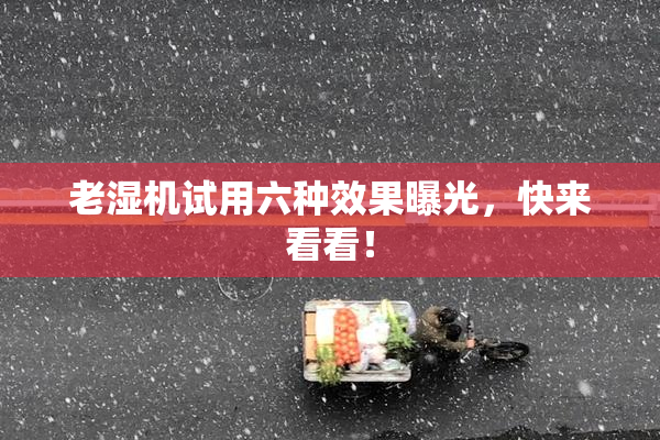 老湿机试用六种效果曝光，快来看看！