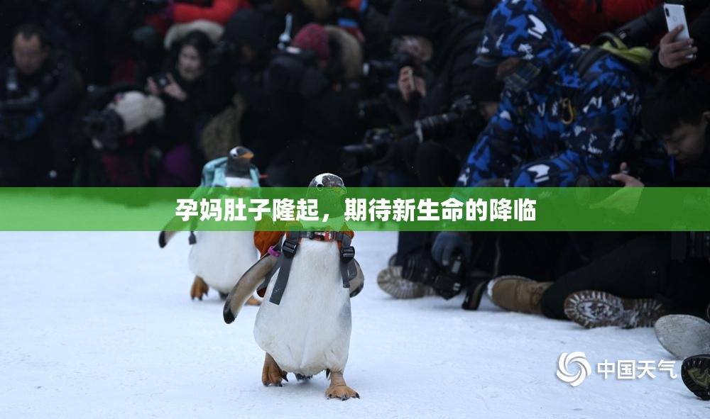 孕妈肚子隆起，期待新生命的降临
