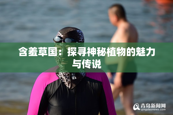 含羞草国：探寻神秘植物的魅力与传说