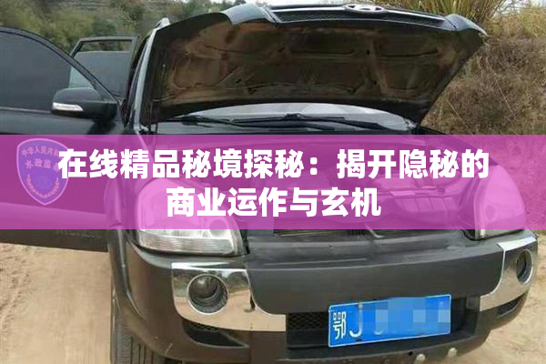 在线精品秘境探秘：揭开隐秘的商业运作与玄机