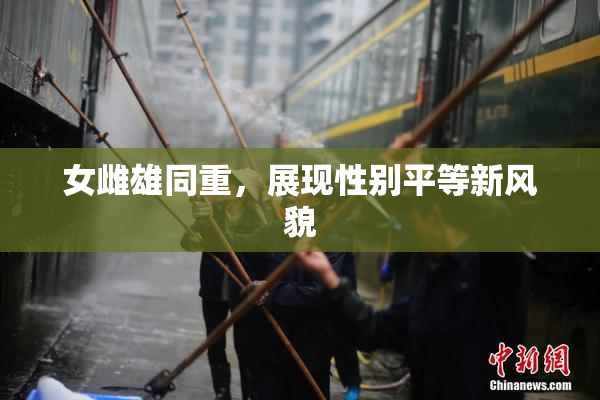女雌雄同重，展现性别平等新风貌