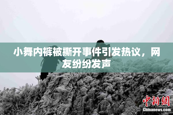 小舞内裤被撕开事件引发热议，网友纷纷发声