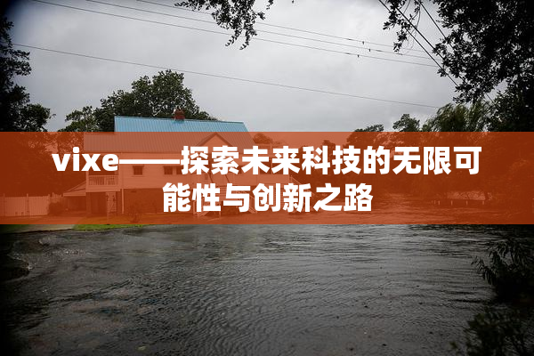 vixe——探索未来科技的无限可能性与创新之路