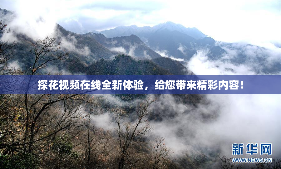 探花视频在线全新体验，给您带来精彩内容！