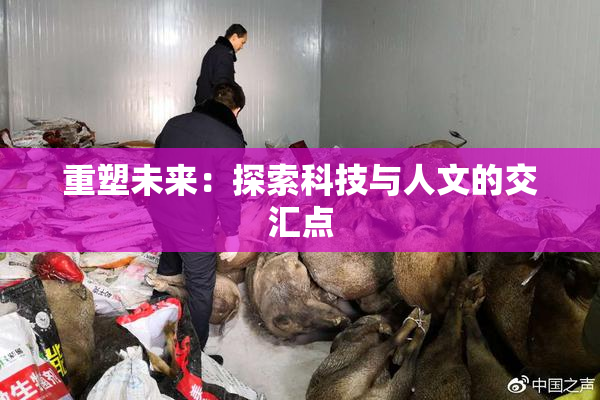 重塑未来：探索科技与人文的交汇点