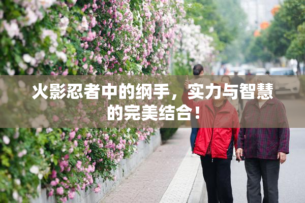 火影忍者中的纲手，实力与智慧的完美结合！