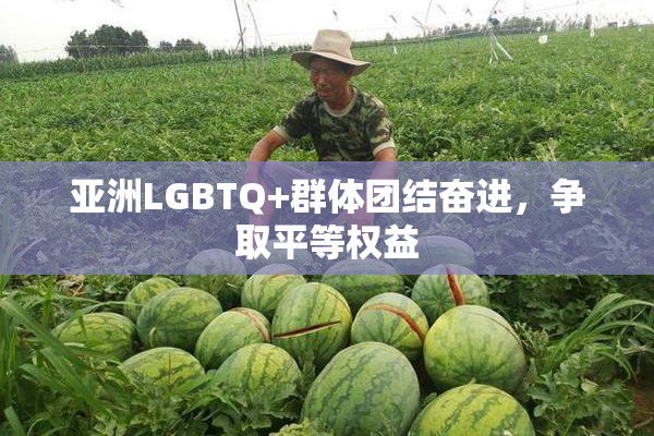 亚洲LGBTQ+群体团结奋进，争取平等权益