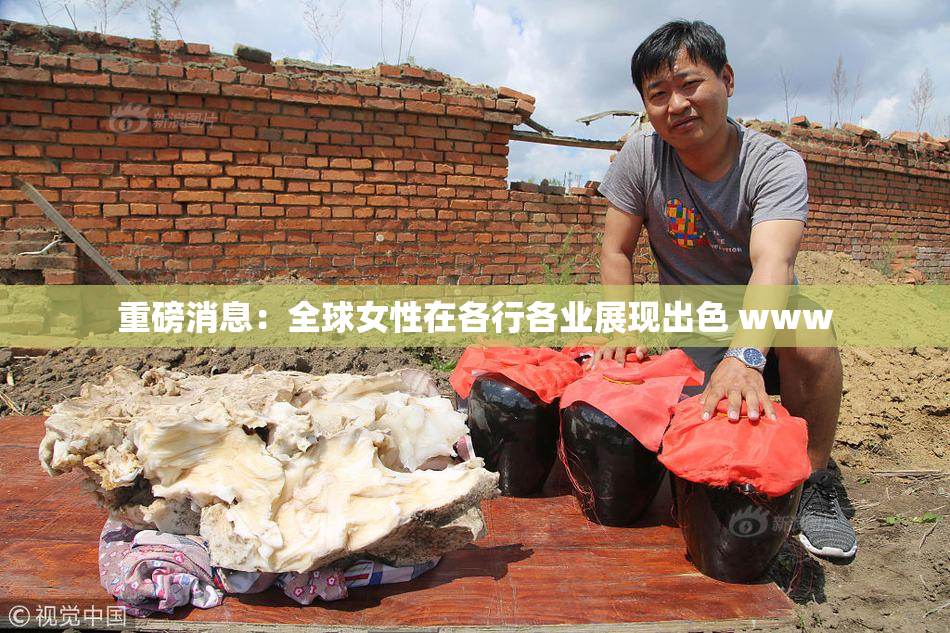 重磅消息：全球女性在各行各业展现出色 www