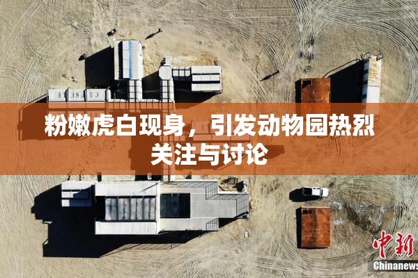 粉嫩虎白现身，引发动物园热烈关注与讨论