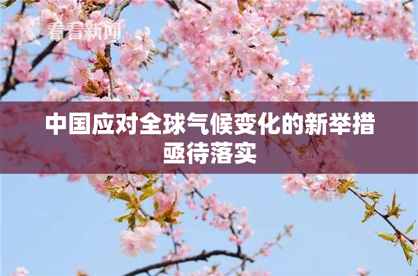 中国应对全球气候变化的新举措亟待落实