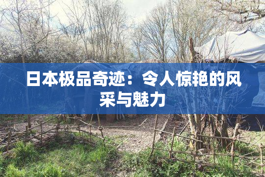 日本极品奇迹：令人惊艳的风采与魅力