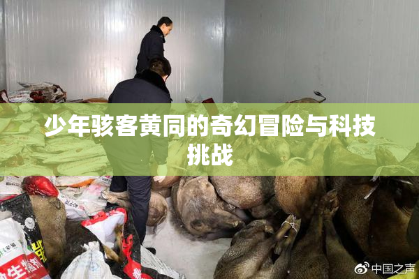 少年骇客黄同的奇幻冒险与科技挑战
