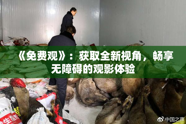 《免费观》：获取全新视角，畅享无障碍的观影体验