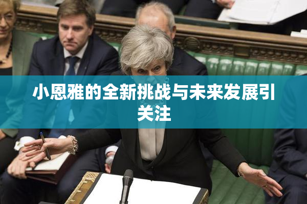 小恩雅的全新挑战与未来发展引关注