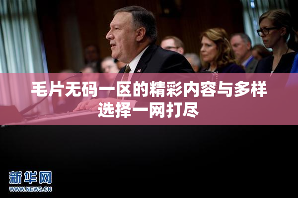 毛片无码一区的精彩内容与多样选择一网打尽