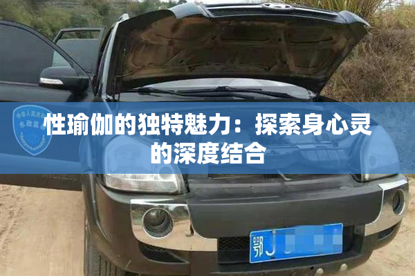 性瑜伽的独特魅力：探索身心灵的深度结合