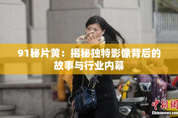 91秘片黄：揭秘独特影像背后的故事与行业内幕