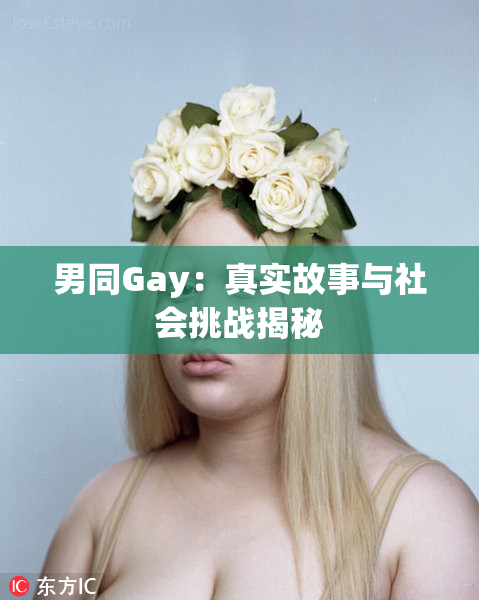 男同Gay：真实故事与社会挑战揭秘