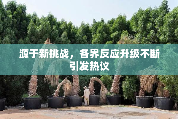 源于新挑战，各界反应升级不断引发热议