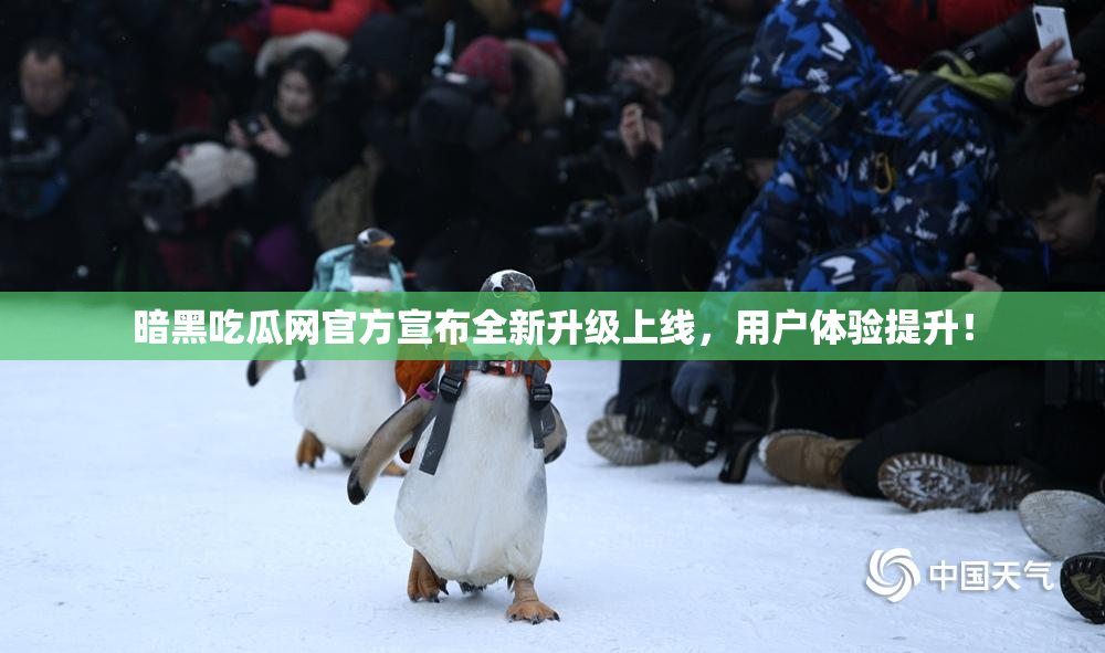 暗黑吃瓜网官方宣布全新升级上线，用户体验提升！