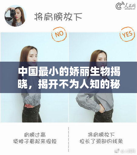 中国最小的娇丽生物揭晓，揭开不为人知的秘密