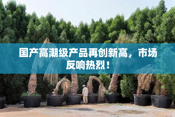 国产高潮级产品再创新高，市场反响热烈！