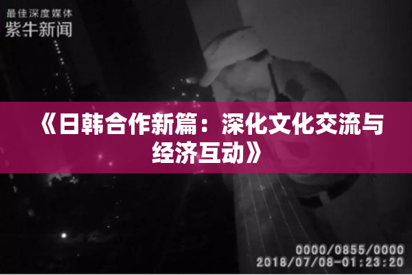 《日韩合作新篇：深化文化交流与经济互动》