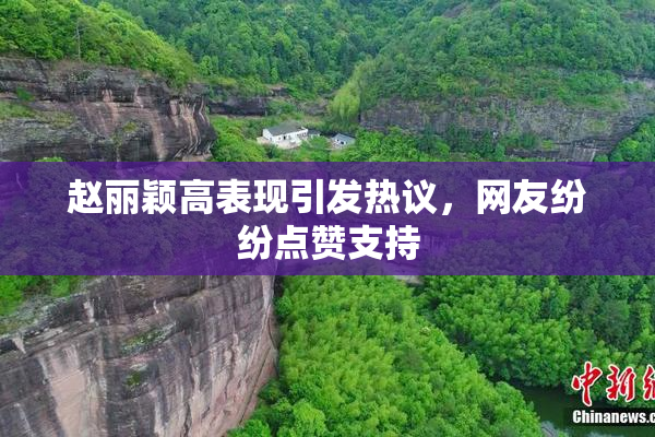 赵丽颖高表现引发热议，网友纷纷点赞支持