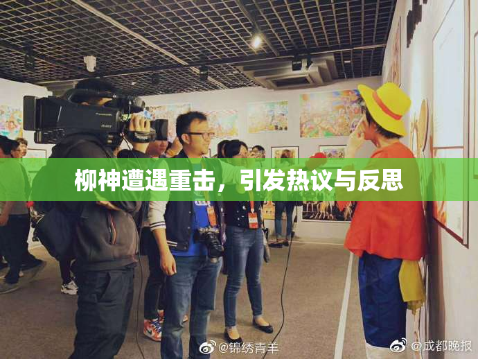 柳神遭遇重击，引发热议与反思