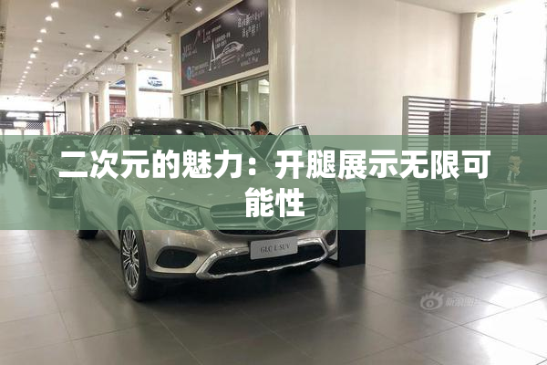 二次元的魅力：开腿展示无限可能性