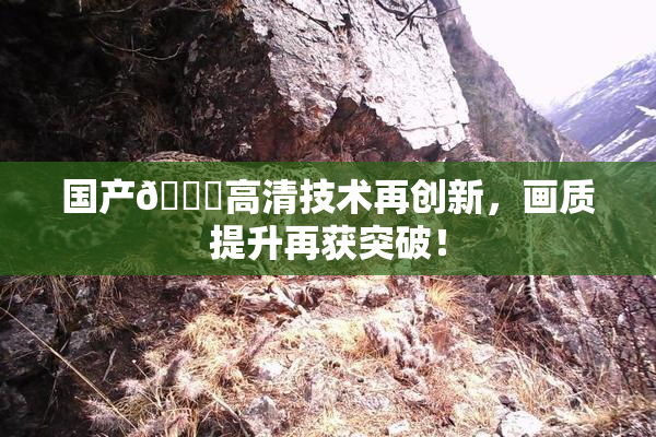 国产🍑高清技术再创新，画质提升再获突破！