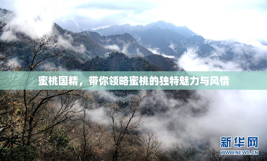 蜜桃国精，带你领略蜜桃的独特魅力与风情