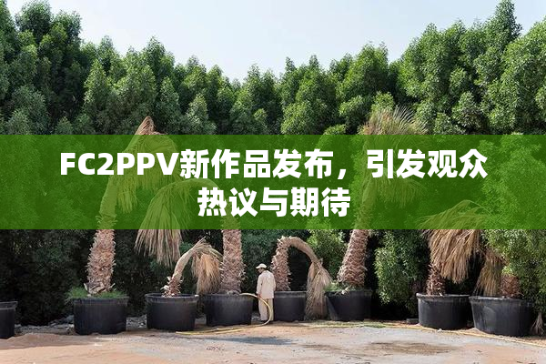 FC2PPV新作品发布，引发观众热议与期待