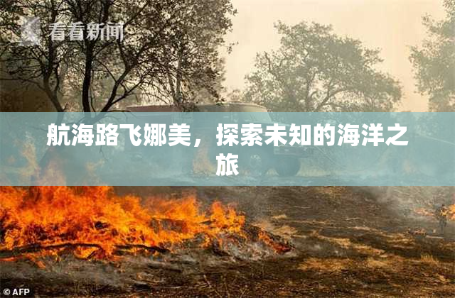 航海路飞娜美，探索未知的海洋之旅