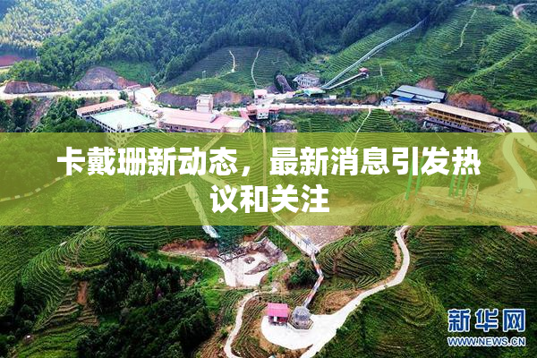 卡戴珊新动态，最新消息引发热议和关注